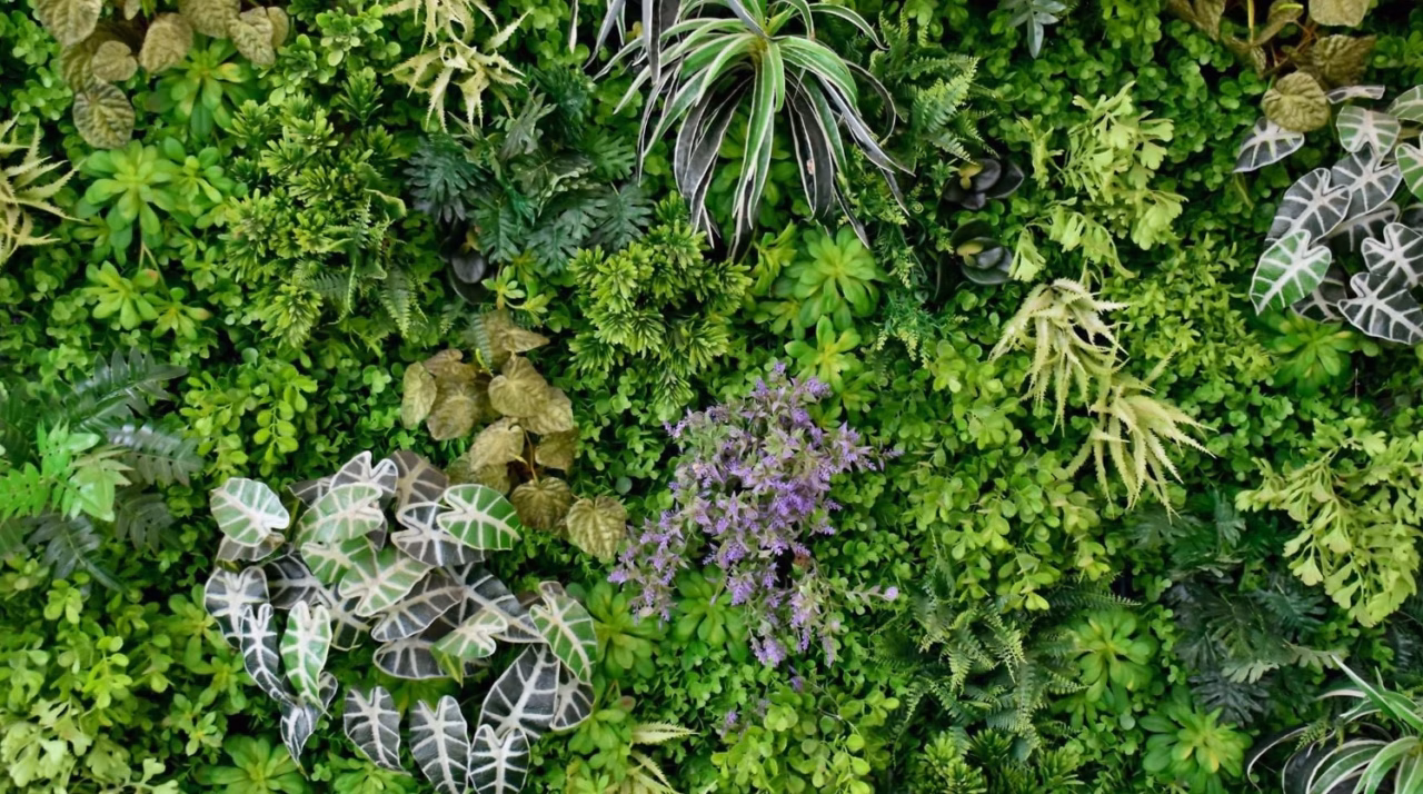 Plantes d&rsquo;intérieur et végétation verte : guide complet pour leur culture, entretien et astuces pratiques